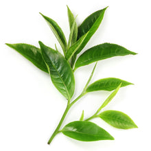 Load image into Gallery viewer, Green Tea Eye Patches